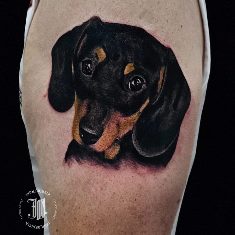 Realism dachshund portrait tattoo, from the Aura Tattoo & Meaning gallery